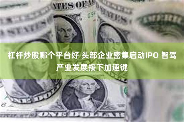 杠杆炒股哪个平台好 头部企业密集启动IPO 智驾产业发展按下加速键