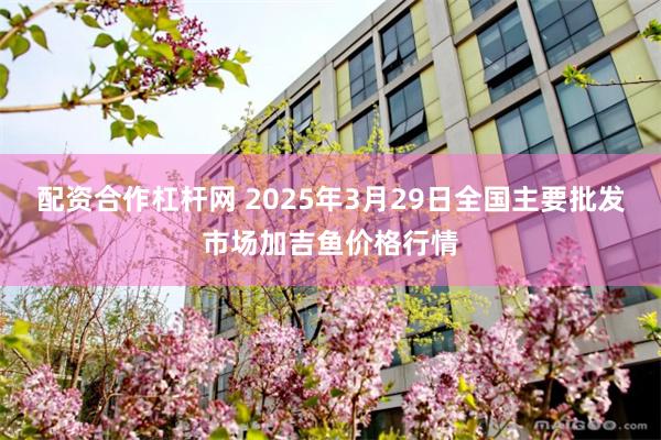 配资合作杠杆网 2025年3月29日全国主要批发市场加吉鱼价格行情