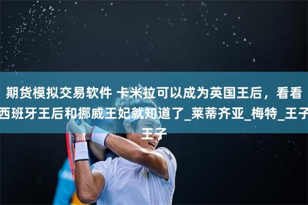 期货模拟交易软件 卡米拉可以成为英国王后，看看西班牙王后和挪威王妃就知道了_莱蒂齐亚_梅特_王子