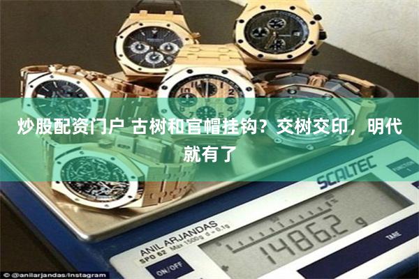 炒股配资门户 古树和官帽挂钩？交树交印，明代就有了