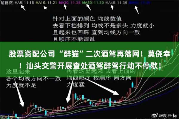 股票资配公司 “醉猫”二次酒驾再落网！莫侥幸！汕头交警开展查处酒驾醉驾行动不停歇！