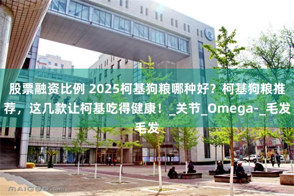 股票融资比例 2025柯基狗粮哪种好？柯基狗粮推荐，这几款让柯基吃得健康！_关节_Omega-_毛发