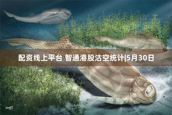 配资线上平台 智通港股沽空统计|5月30日