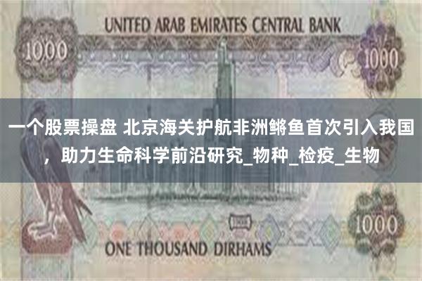 一个股票操盘 北京海关护航非洲鳉鱼首次引入我国，助力生命科学前沿研究_物种_检疫_生物