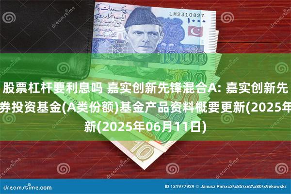 股票杠杆要利息吗 嘉实创新先锋混合A: 嘉实创新先锋混合型证券投资基金(A类份额)基金产品资料概要更新(2025年06月11日)