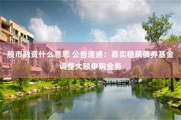 股市融资什么意思 公告速递：嘉实稳荣债券基金调整大额申购业务
