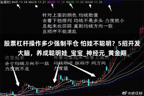股票杠杆操作多少强制平仓 怕娃不聪明？5招开发大脑，养成聪明娃_宝宝_神经元_黄金期