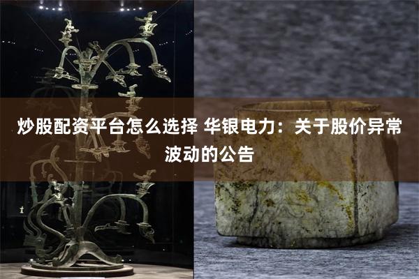 炒股配资平台怎么选择 华银电力：关于股价异常波动的公告