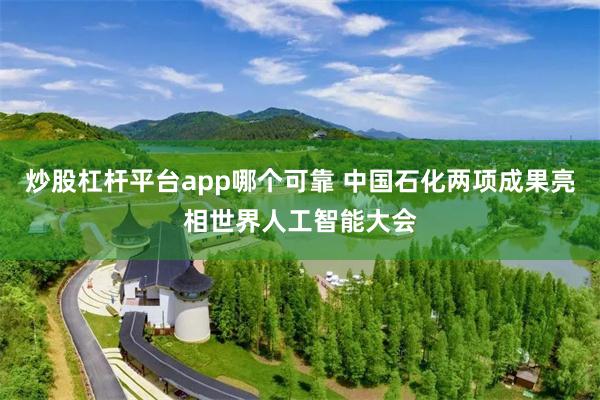 炒股杠杆平台app哪个可靠 中国石化两项成果亮相世界人工智能大会