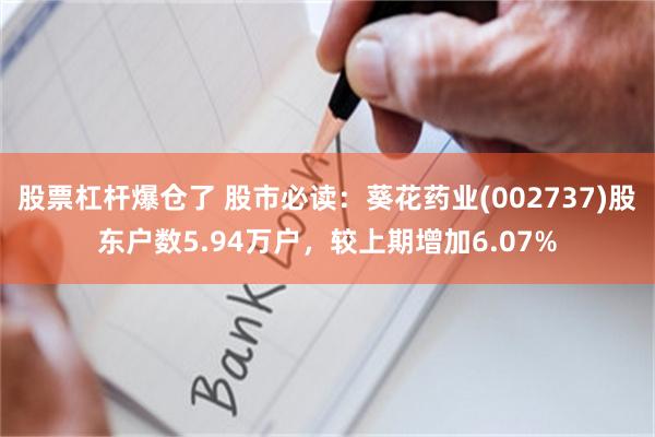 股票杠杆爆仓了 股市必读：葵花药业(002737)股东户数5.94万户，较上期增加6.07%