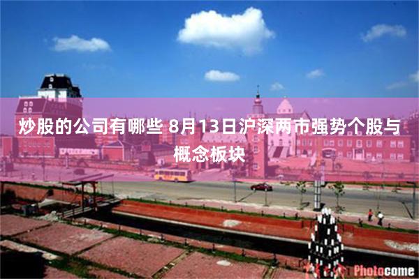 炒股的公司有哪些 8月13日沪深两市强势个股与概念板块