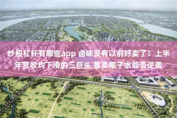 炒股杠杆有哪些app 卤味没有以前好卖了！上半年营收均下滑的三巨头 靠卖椰子水能否逆袭